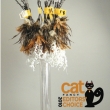 The Purrfect Crunchy Feather Toy, will have your cat jumping!